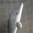 Charmerende delfin, håndlavet kuglepen